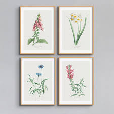 vintage botanical prints