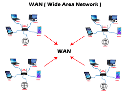 network of networks