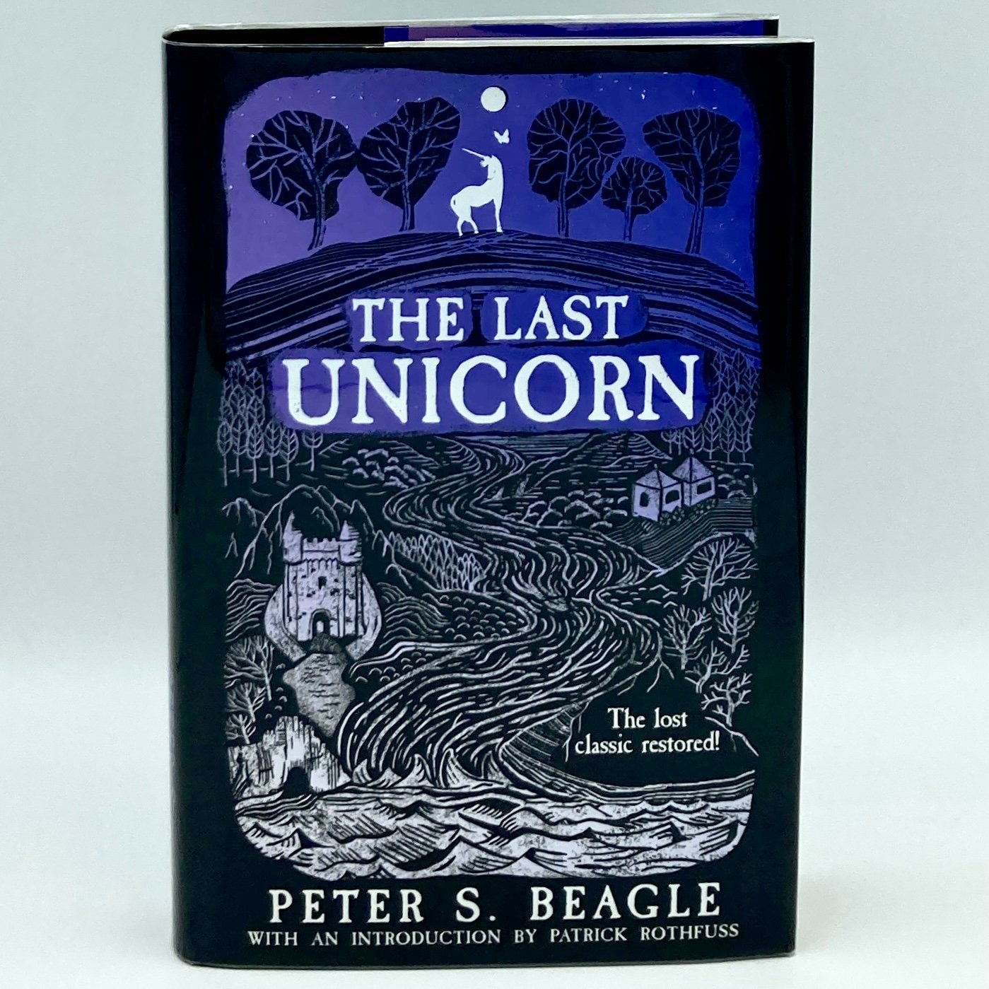 the last unicorn book