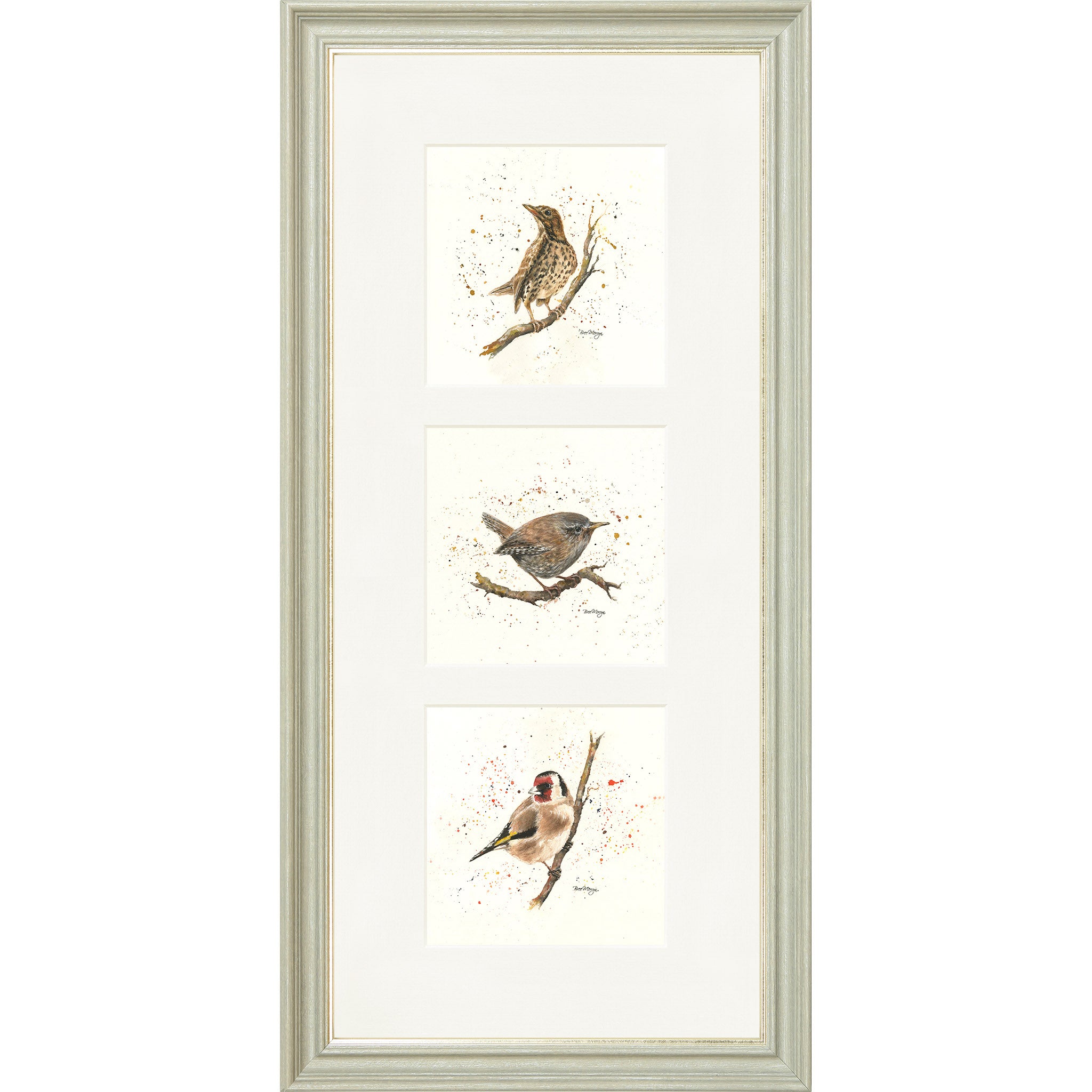 framed bird prints