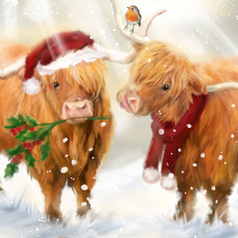 highland cow art print
